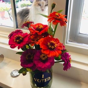 Meet your Posher, Tamara